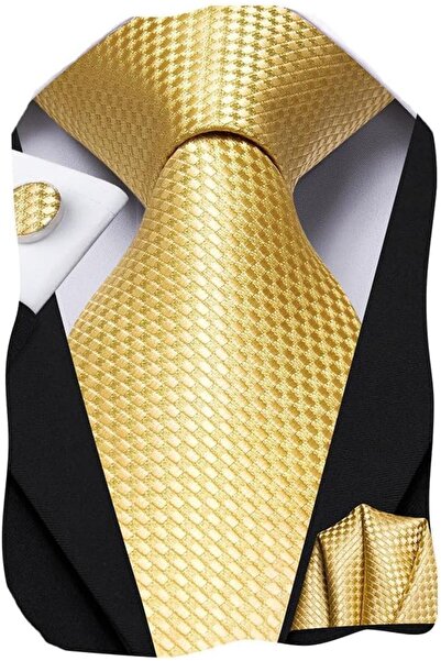 Dubulle Mens Paisely Silk Tie for Men Necktie and Pocket Square Set