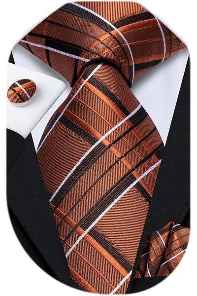 Dubulle Mens Paisely Silk Tie for Men Necktie and Pocket Square Set