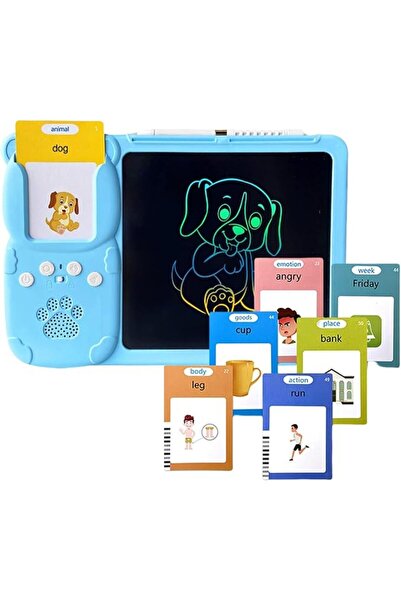 DMG TECH Audible Learning Toy, 224 PCS Talking Flashcards, Audible Flash Card...