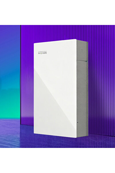 FoxESS P100 Αβοκάντο Όλα-σε-ένα Μετατροπέας Υψηλής Τάσης 5kW με Θερμαινόμενη ...