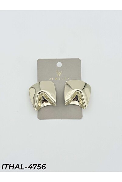 Bozhi Vip Z*Ra Earrings Vip Colorful Earrings Business Woman Style Gift
