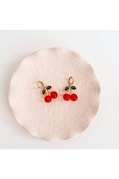 Boise Atelier Cherry Steel Earring |   Steel Earrings