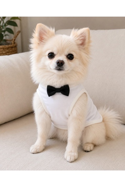 atelyu Cat Dog Outfit Black Bow Tie Tshirt