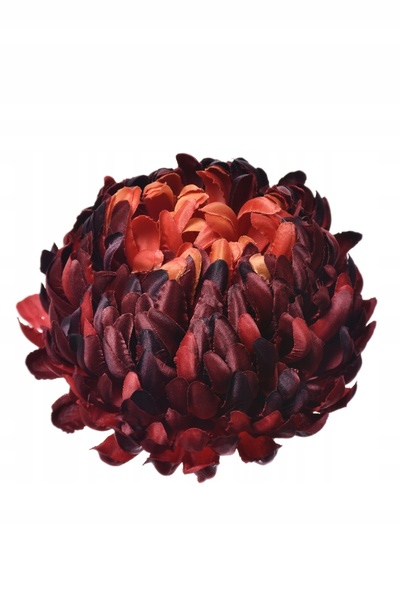 NO BRAND 6X Crizantemă cu cap, tip „Brick Red Premium”
