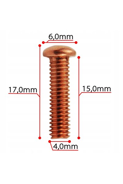 NO BRAND Tije filetate M4x15mm placate cu cupru, nituri 100 buc. Șurubelniță ...