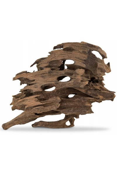 NO BRAND Rădăcină de dragon S 10-30cm 1 kg