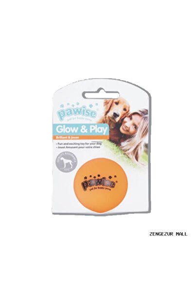 Pawise Zengezur Vinyl Toy-Luminous Ball S (171809) Dog Toy