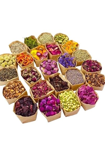 Generic Brand Natural Dried Flowers and Plants Set, 24 Pieces, Mixed Varietie...
