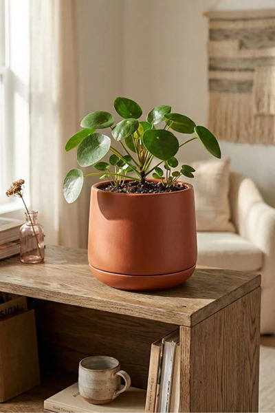 poliva home Atlas Saksı 4 Litre Dekoratif Çiçek Saksısı 27 cm Modern Saksı İç...
