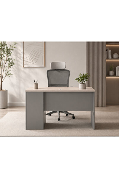 Palma homez Light Wood Desk Modern Design 120X60X75 Light Beige with Dark Gre...