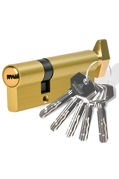 OEM Сигурен цилиндър Assa Abloy, естествен цвят, 5 ключа, 25 x 10 x 55 мм