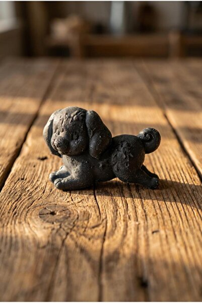 FAV'Or -Choose the best for you body Puppy Charcoal-Săpun cu Cărbune Activ