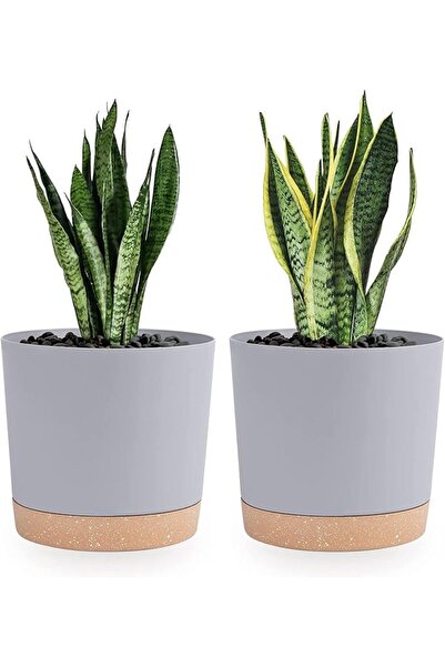 GENERAL QCQHDU Plant Pots Set of 2 Pack 8 inch,Planters for Indoor Plants wit...