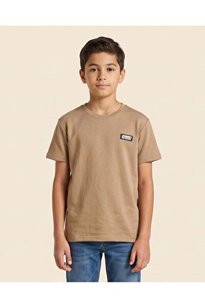 REDTAG Senior Boys Beige Double Knit T-Shirt With Rubber Patch