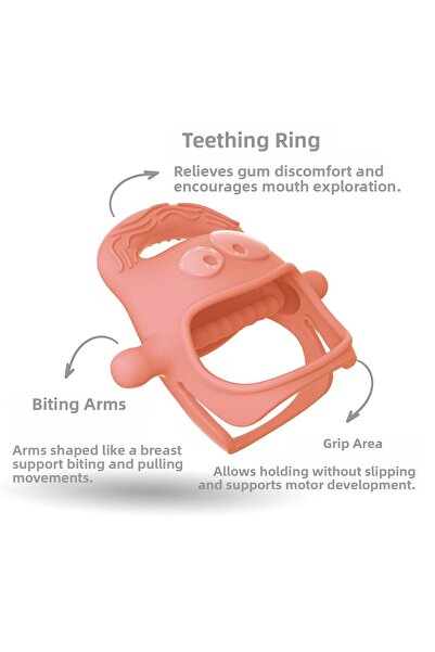 Mochi Teether Salmon