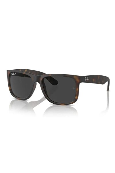 Ray-Ban Güneş Gözlüğü RB4165 55 865/87