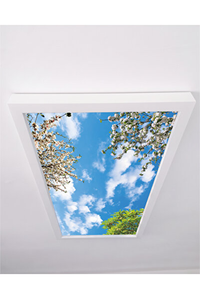 Gökyüzü Panel 60x120 106W, Sıva Üstü, Güçlü Led Aydınlatma, Ağaçlar Gökyüzü, ...