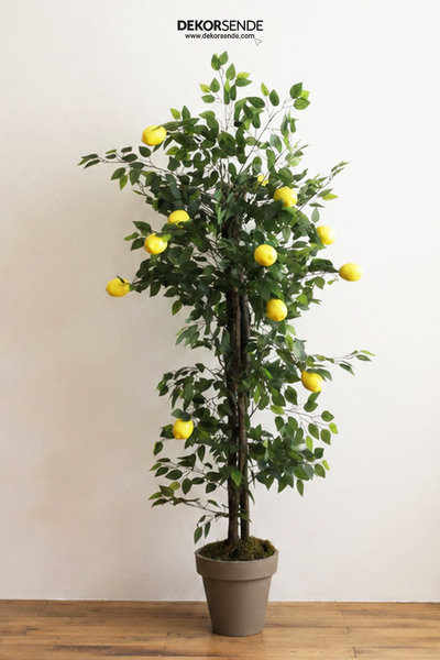Dekorsende Yapay Limon Ağacı 170 Cm