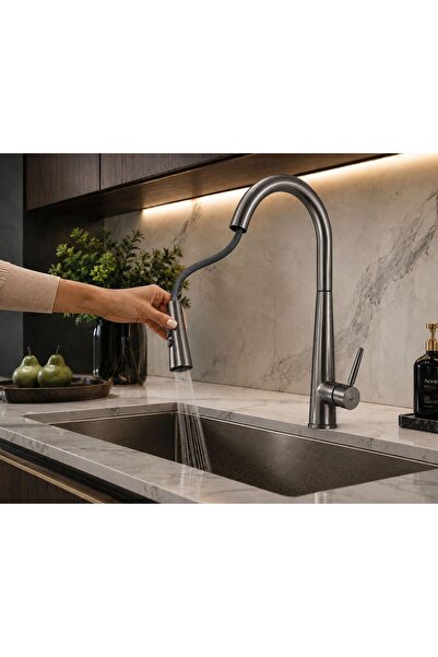 Radinavico Single-lever kitchen mixer, high swan spout, pull-out shower, 2 sp...