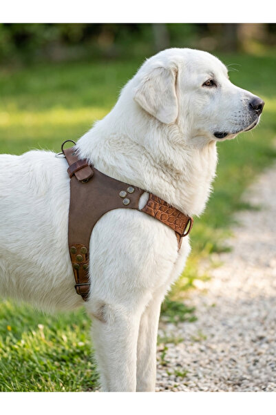 balkonda Dog Chest Collar Giant Breed Adjustable Leather Mink & Tan & Antique...