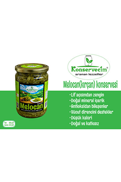 Melocan(Dikenucu, kırçan) konservesi