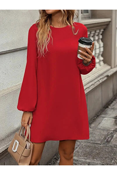 Generic Brand Women's Long Sleeve Round Neck Mini Imported Crepe Dress