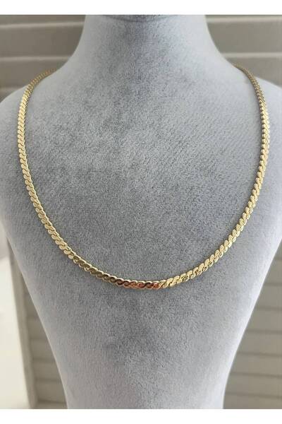 GOSEA Kadın Gold Paslanmaz Çelik Yassı Zincir Kolye Unisex | Kararma Yapmaz, ...