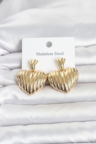 Inure Jewelry 316L Steel Gold Color Heart Model Women's Earrings