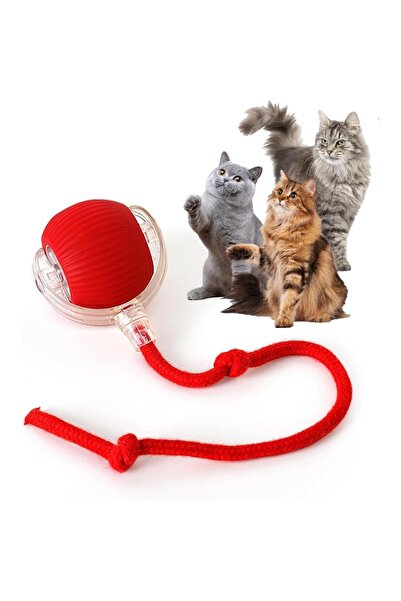 Choice red Pet Ball Toy Pet Toy Ball with Tail Rope，Smart Automatic Pet Chase...