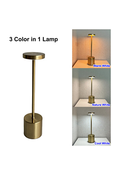 Choice1 Gold Wireless USB Type C Rechargeable 3 Colors LED Table Lamp Touch S...