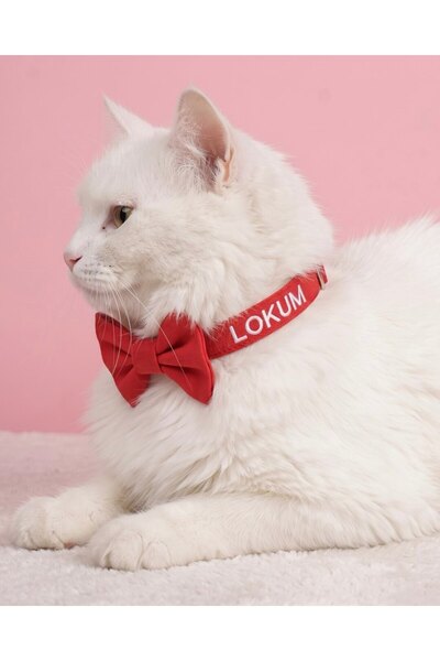 LUSİ-DOOG İsimli Papyonlu Kedi Boyun Tasması Papyonlu Kedi Tasması Papyonlu T...