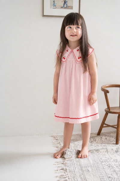 Cigit Muslin Embroidered Dress 2-5 Years Pink