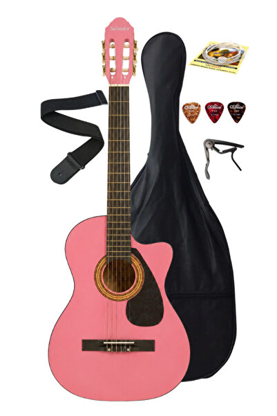 SALVADOR ATL441708 Klasik Gitar 4/4 Yetişkin Boy Sap Ayarlı Full Set