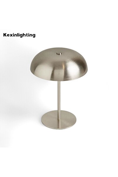 Choice Silver Wireless Touch Lamp, Portable Dimmable with 3 Colors, Rechargea...