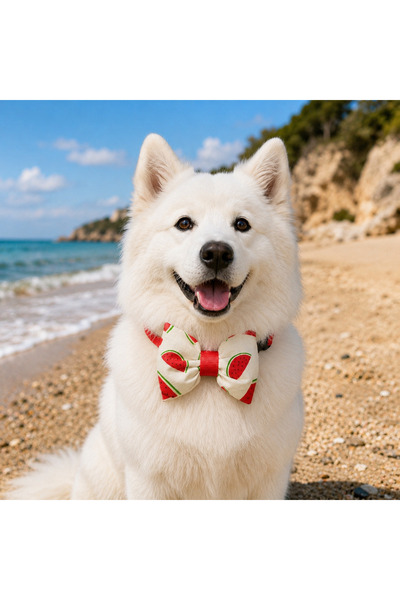 PATİMİO Ayarlanabilir Kedi Köpek Papyonu Watermelon