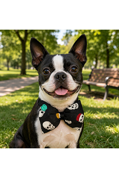 PATİMİO Adjustable Cat Dog Bow Tie Skull