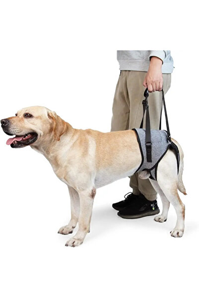 Choice XL grey Dog Leg Strap Disability Brace Help Walking Harness Auxiliary ...