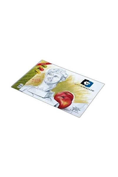 Genel Markalar Resim Defteri Spiralli 35X50Cm 120 Gram 40 Yaprak Alx-0787