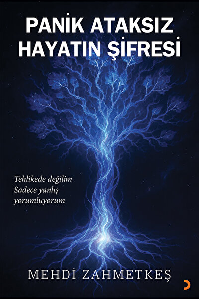 Cinius Yayınları Panik Ataksız Hayatın Şifresi & Mehdi Zahmetkeş