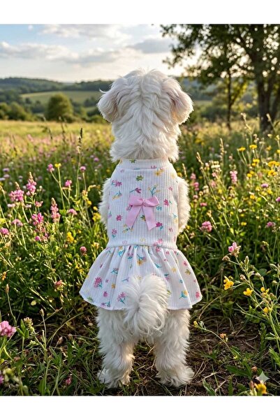 jeneric köpek kıyafet
