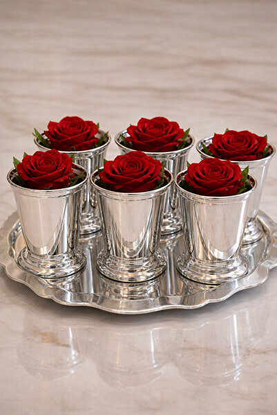 ONESTART 6'lı Gümüş Sunumluk- Dekarasyon Gül Kovası
