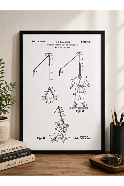Pegziz Judo Training Device Patent Drawing Chart Wall Decor Painting