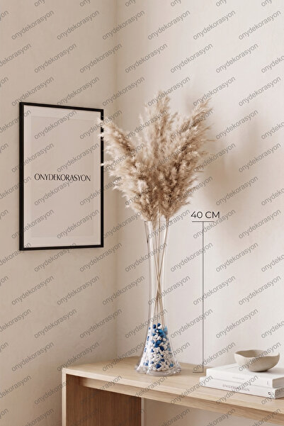 decoronay 40 Cm El Yapımı Fil Ayağı Cam Vazo – Dekoratif Şeffaf Modern Salon ...