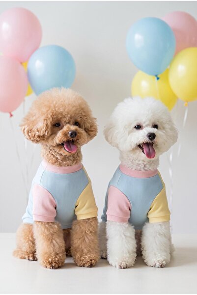 Kemique Bubbles Pastel Köpek Tişörtü | Cepli Şeker Renkli Yazlık Köpek Kıyafe...