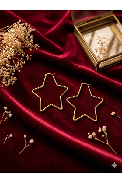 Sİ Stylish Cool Earrings with Star Figures That Match Any Combination