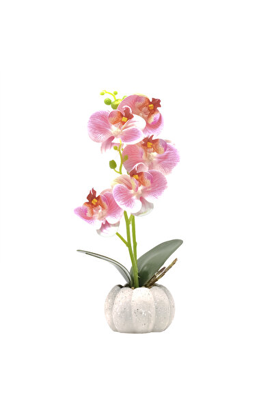 Naimeed Company Orhidee decorativă în ghiveci ceramic, 30 cm, Naimeed D4856, Roz