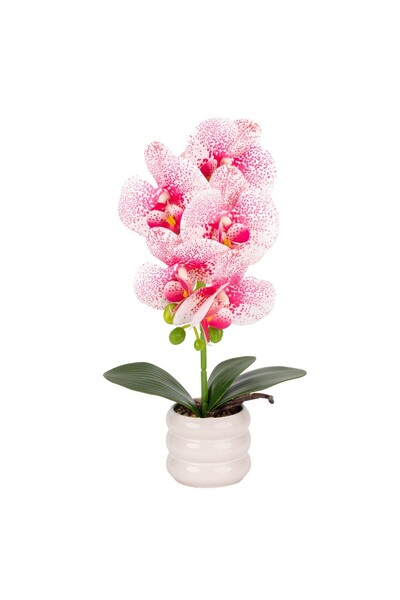 Naimeed Company -looking orchid in a ceramic pot, 40 cm, Naimeed D6888, White...
