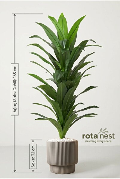Rota Nest 165cm Saksılı Yapay Ağaç Drasena (Dracena) Ağacı - 32cm Saksılı