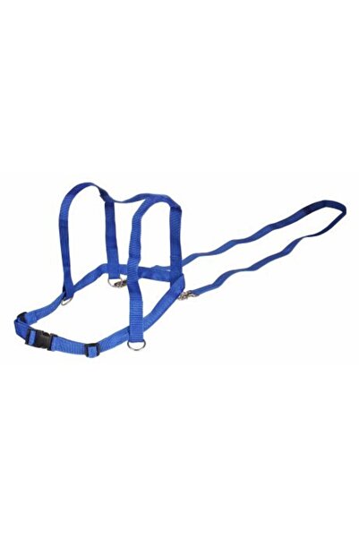 Merco Joc pentru copii Kid Horse, albastru