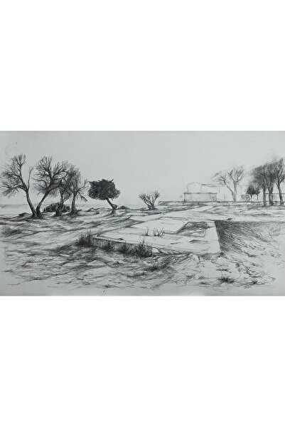 artoloji Barışcan Seval-2023-İsimsiz-Kağıt üzerine karakalem-19.5x37.5 cm